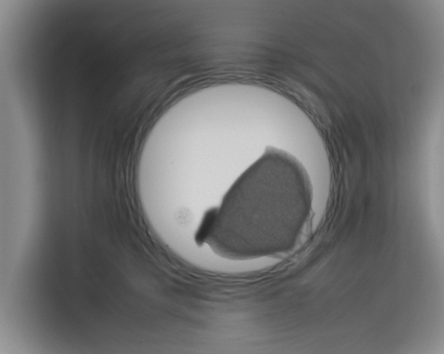 X0000113260421200910221043
