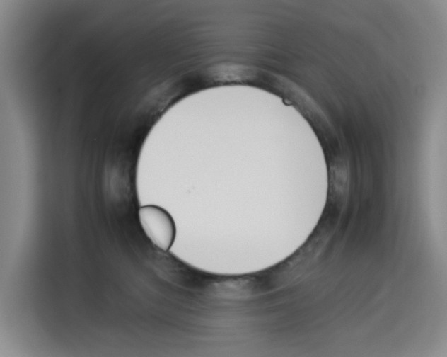 X0000113260422200910221043