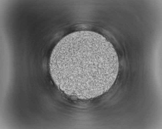 X0000113260423200910221043