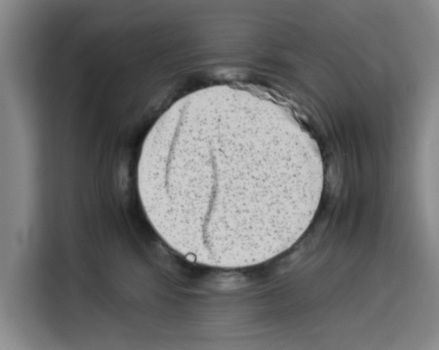 X0000113260424200910221043