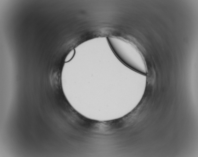 X0000113260425200910221043