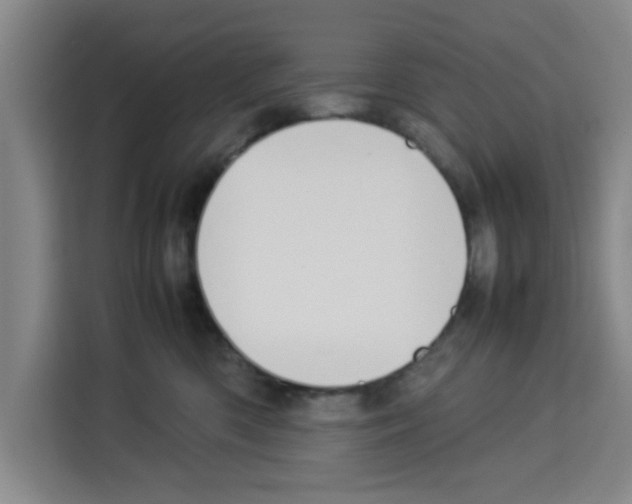 X0000113260426200910221043