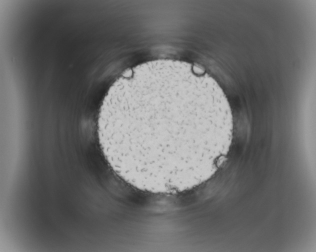 X0000113260427200910221043