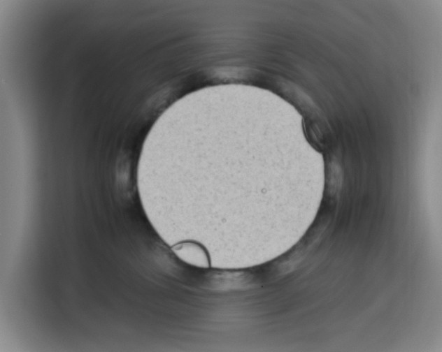 X0000113260428200910221043