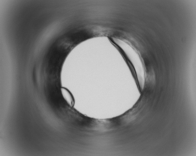 X0000113260429200910221043