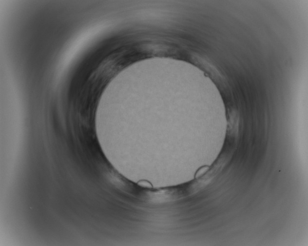 X0000113260430200910221043
