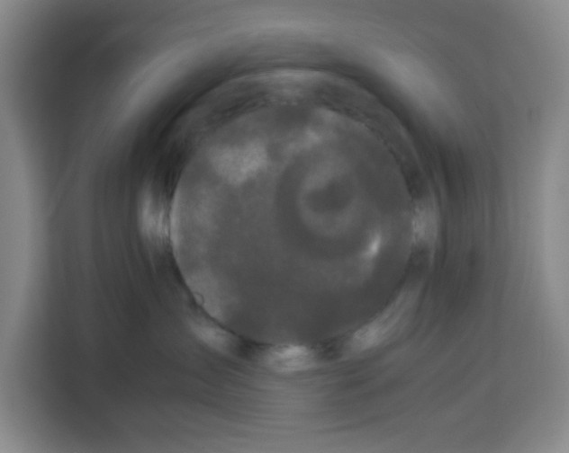 X0000113260431200910221043