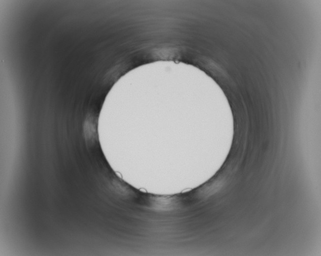X0000113260432200910221043