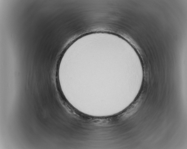 X0000113260434200910221042
