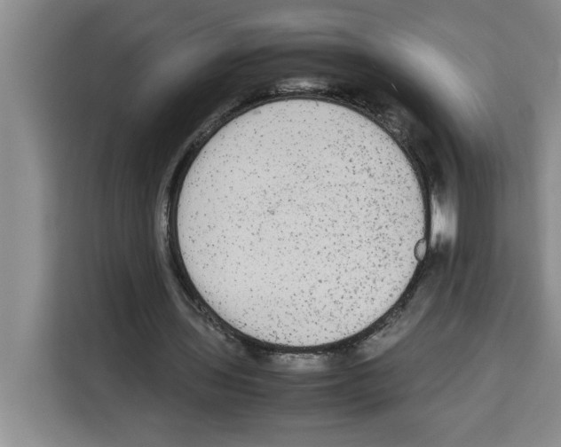 X0000113260435200910221042