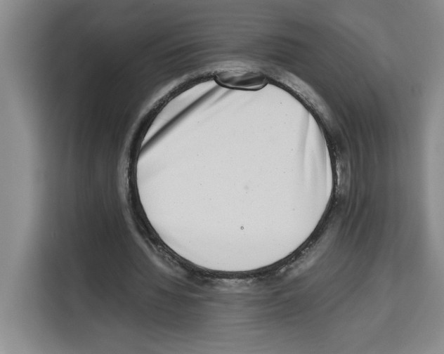 X0000113260436200910221042