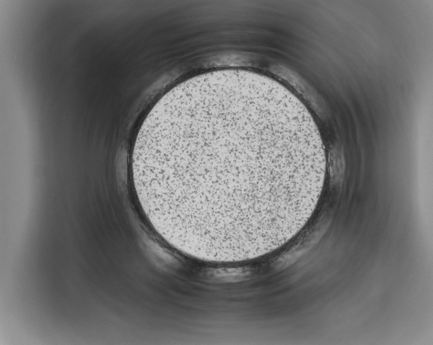 X0000113260445200910221042
