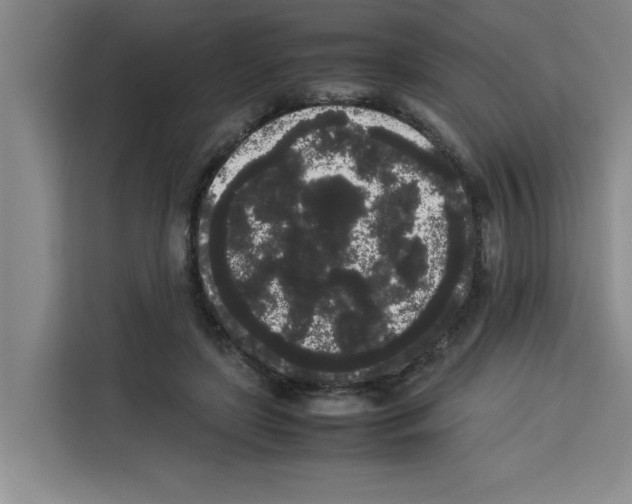 X0000113260451200910221042