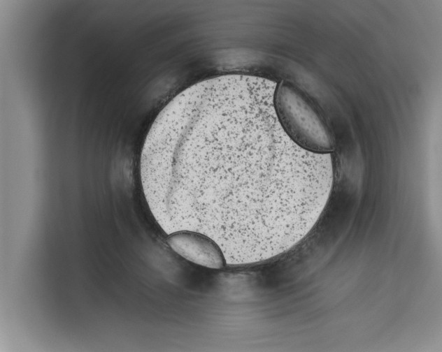 X0000113260452200910221042