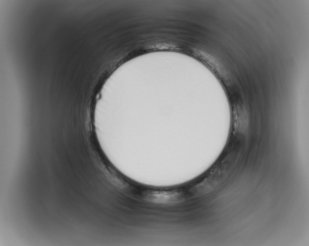 X0000113260453200910221042