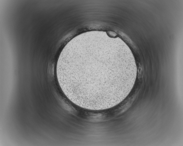 X0000113260454200910221042