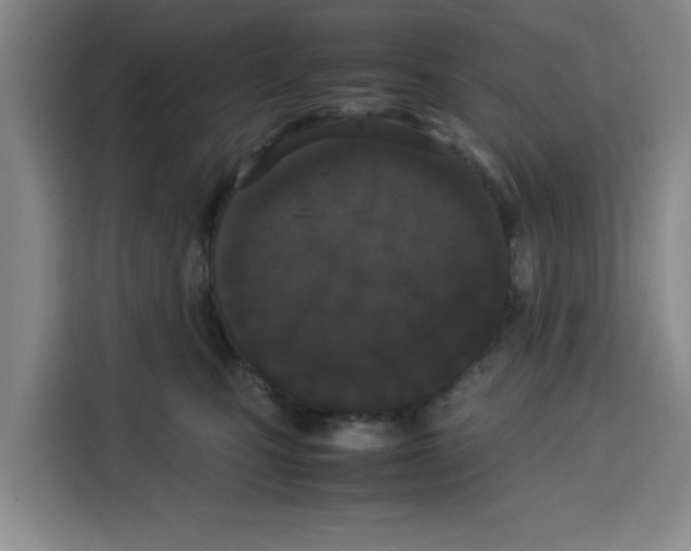 X0000113260471200910221043