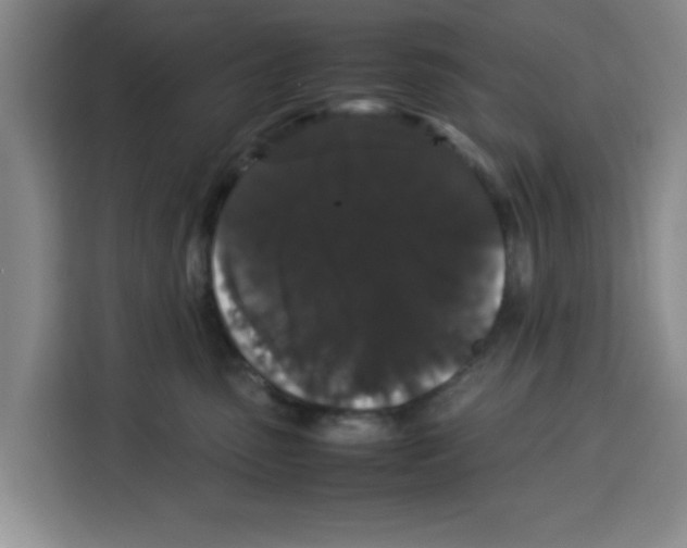X0000113260475200910221043