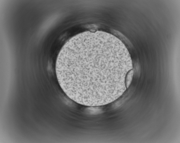 X0000113260477200910221043