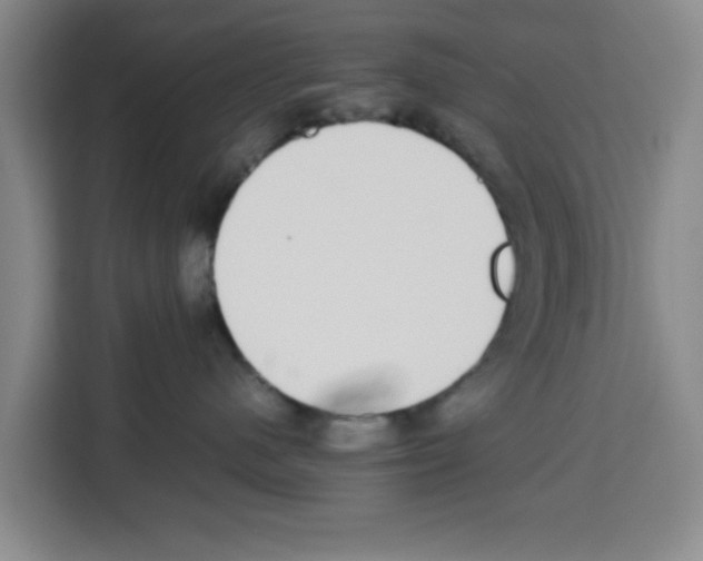 X0000113260480200910221043