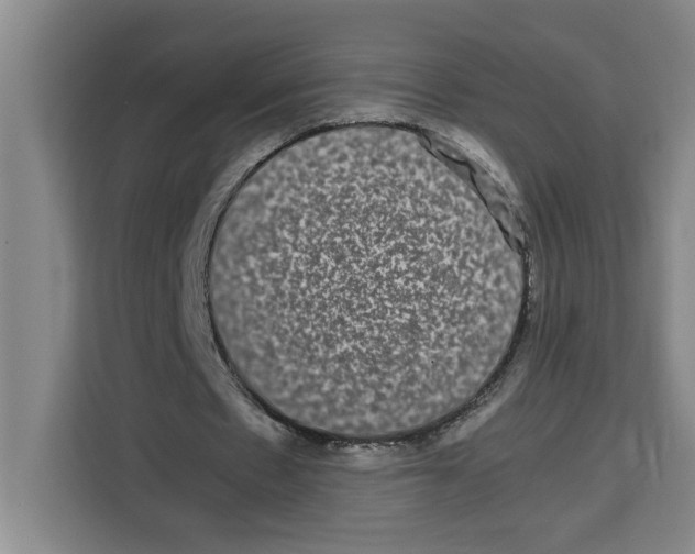 X0000113260481200910221042