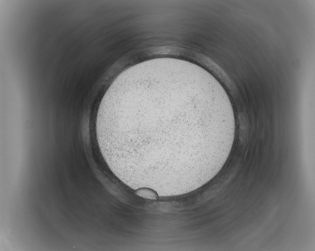 X0000113260482200910221042