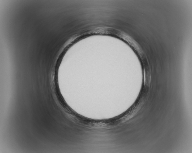 X0000113260483200910221042