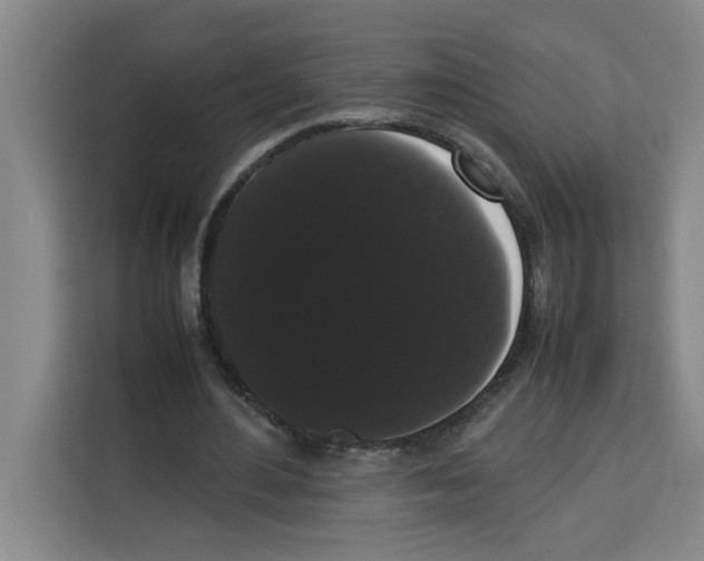 X0000113260484200910221042
