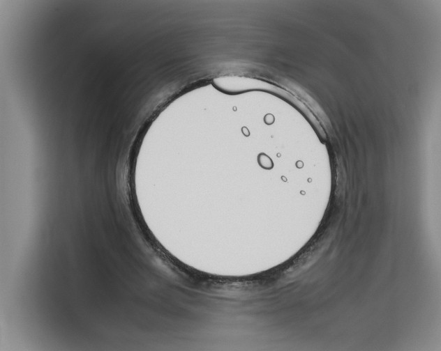 X0000113260485200910221042