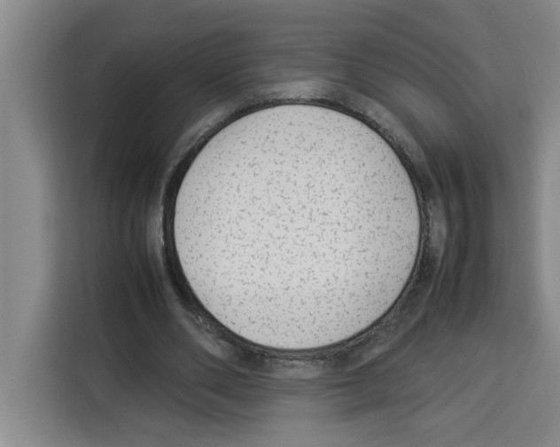 X0000113260486200910221042