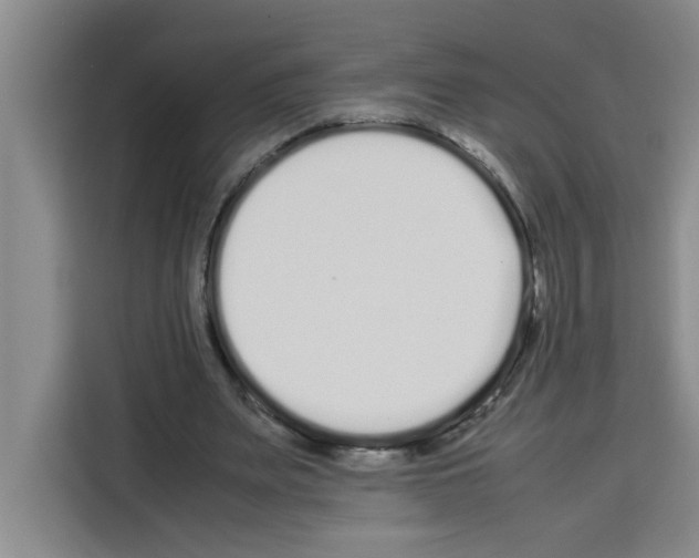 X0000113260487200910221042