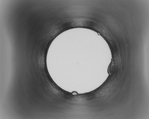 X0000113260489200910221042