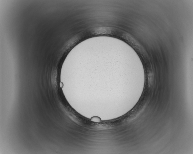 X0000113260490200910221042