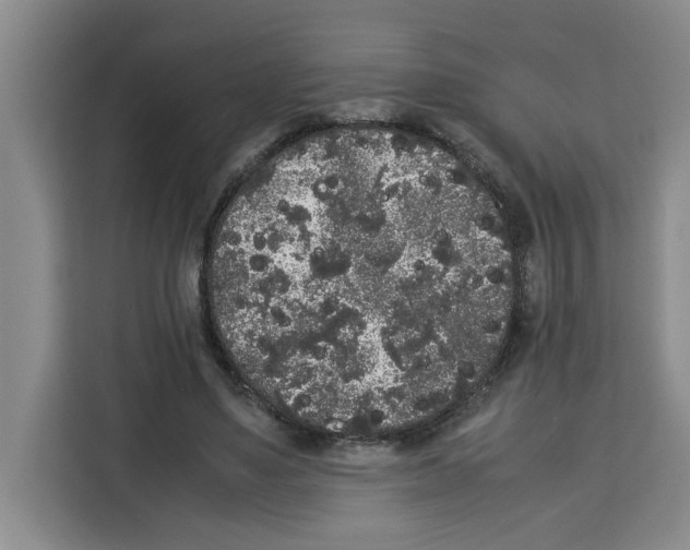 X0000113260491200910221042