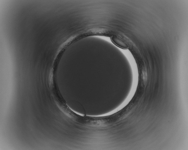 X0000113260492200910221042