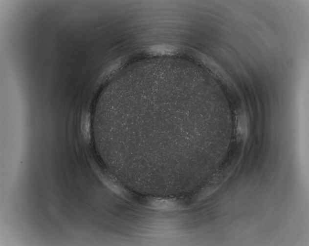 X0000113260494200910221042