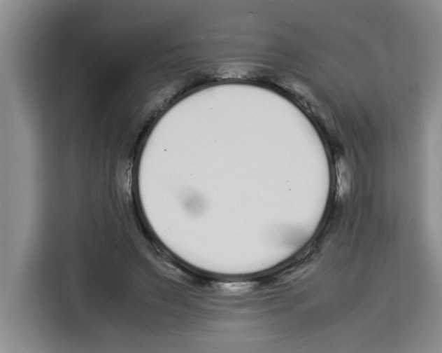 X0000113260495200910221042