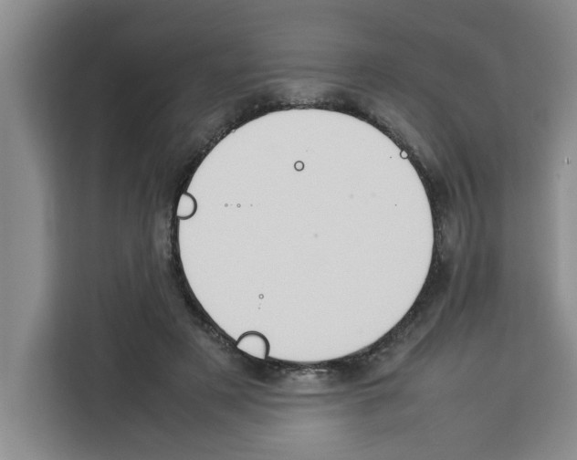X0000113260497200910221042