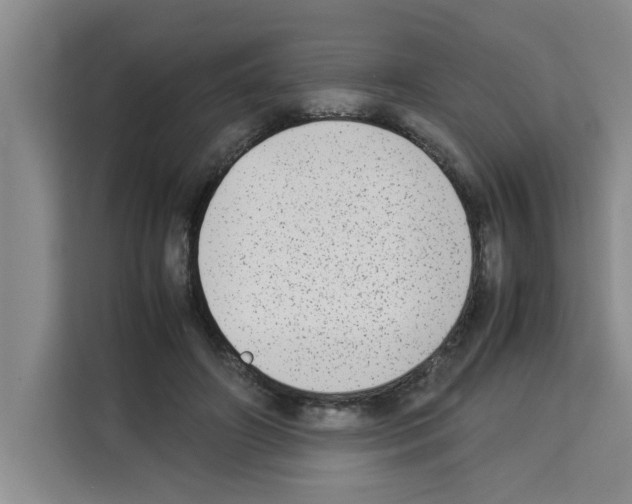 X0000113260498200910221042