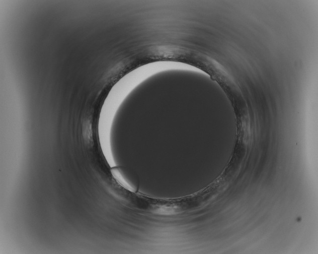 X0000113260500200910221042