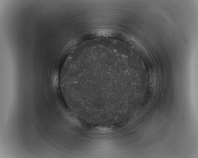 X0000113260502200910221042