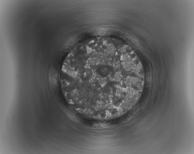 X0000113260503200910221042