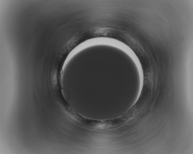 X0000113260504200910221042