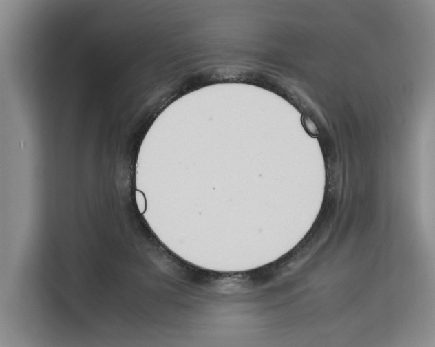 X0000113260505200910221042