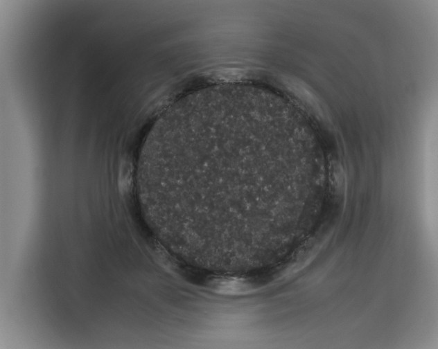 X0000113260507200910221042