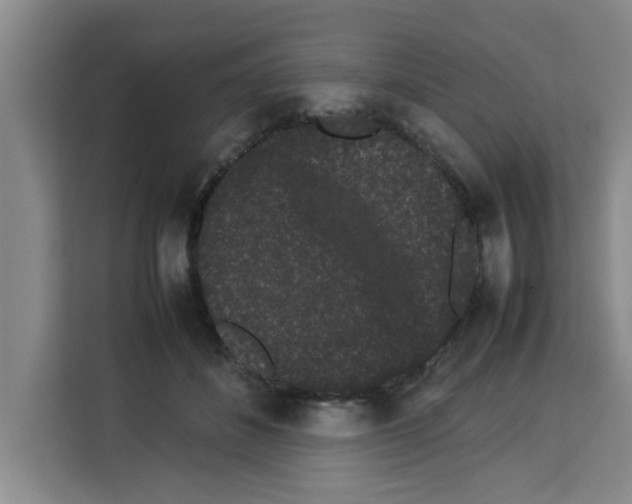 X0000113260508200910221042