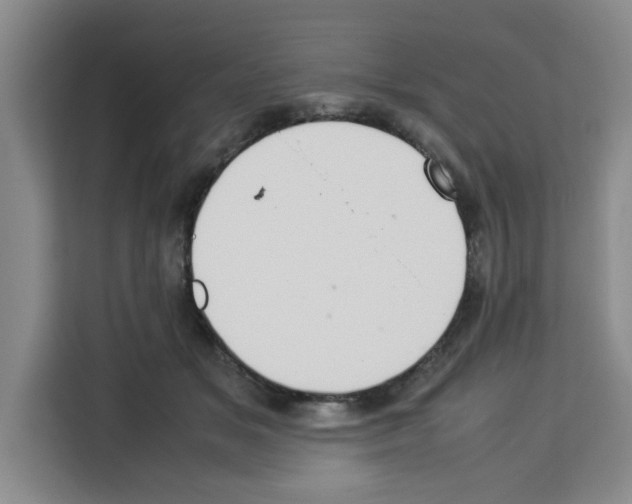 X0000113260509200910221042