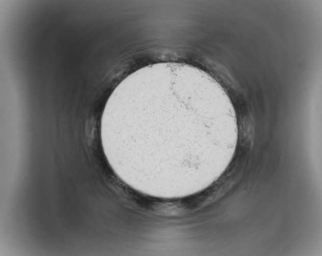 X0000113260511200910221042