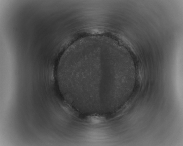 X0000113260512200910221042