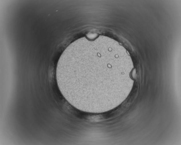 X0000113260513200910221042
